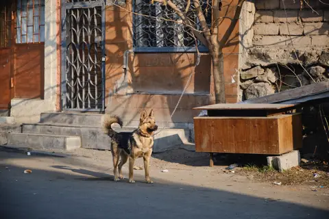 2023-01-21 - Район Конд, Армения