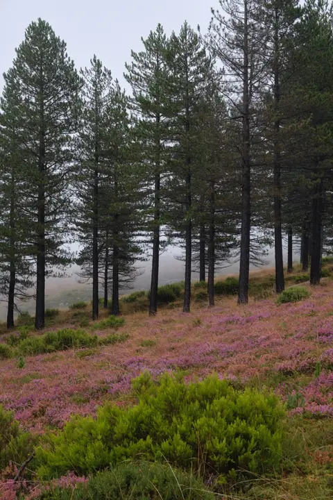 2023-09-10 - Alvão Natural Park