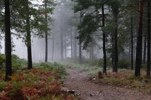 2023-09-10 - Alvão Natural Park
