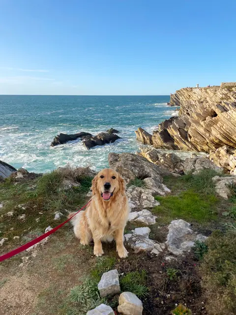 2023-02-26 - Baleal Beach